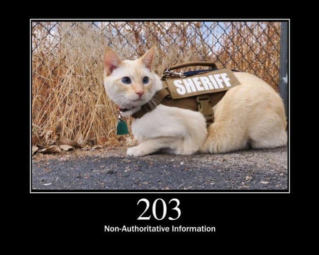 203 Status Code