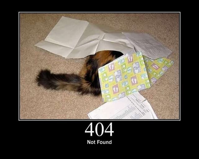 404 Status Code