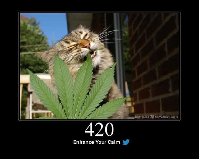 420 Status Code