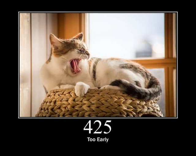 425 Status Code