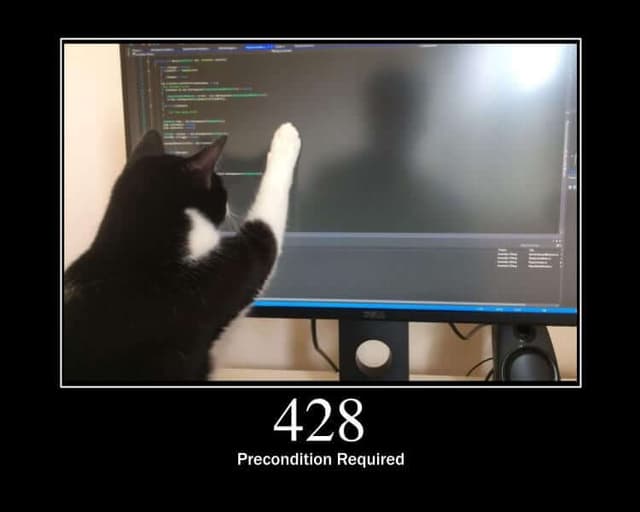 428 Status Code