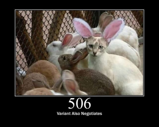 506 Status Code